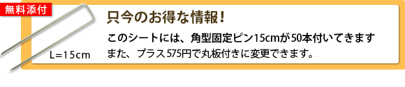 固定ピン添付