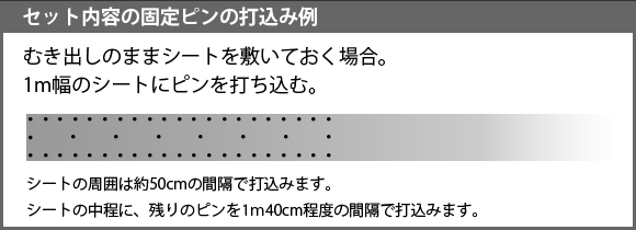 固定ピン打込み例