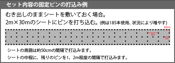 固定ピン打込み例