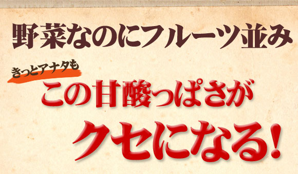 甘酸っぱさがクセになる味