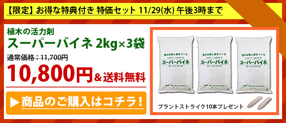 植木 肥料 活力剤 スーパーバイネ 期間限定 セット キャンペーン