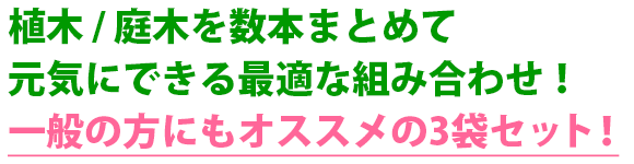 植木 肥料 活力剤 スーパーバイネ 期間限定 セット キャンペーン