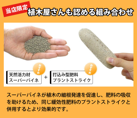 スーパーバイネ プラントストライク