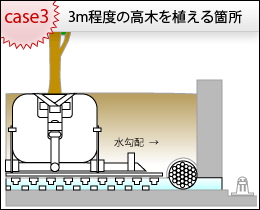 3m程度の高木を植える