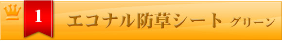 1位 エコナル