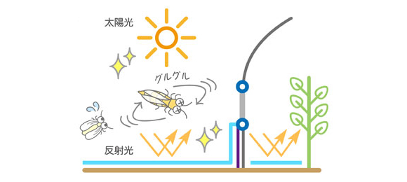 防虫効果のイメージ