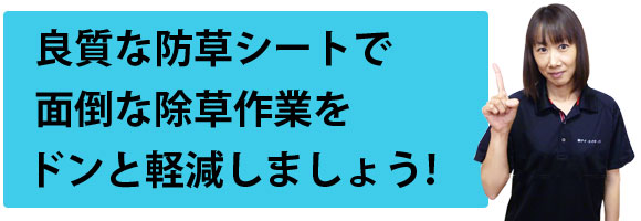 スタッフからのコメント