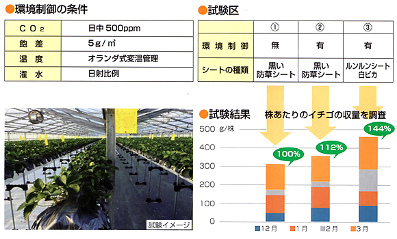 防草シート ルンルンシート 白ピカ 収量 比較