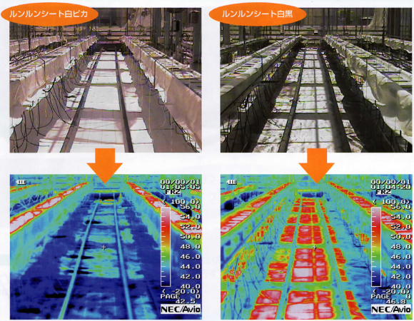 防草シート ルンルンシート 白ピカ 温度 比較