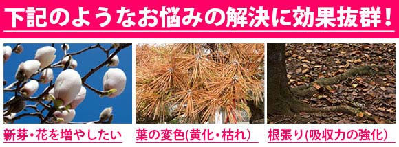 植木 肥料 庭木 肥料 殺虫剤 資材販売アイエイチエス