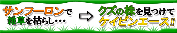 スズメバチは何度も巣を作りかえる