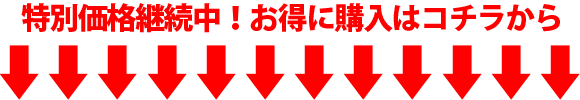 特別価格