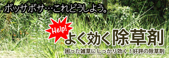 お庭の雑草 クズ 葛 ササ 笹 など 除草剤 販売 価格 資材販売アイエイチエス