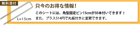 固定ピン添付