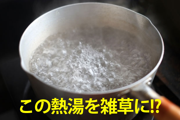 熱湯は雑草対策に有効