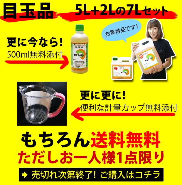 重曹は雑草対策に有効 実際に散布してみました