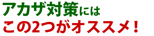 雑草 アカザ 雑草 除草 防除