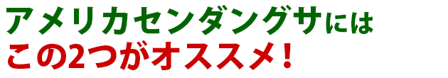 雑草 アメリカセンダングサ 雑草 除草 防除