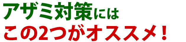 アザミ 雑草 除草 防除