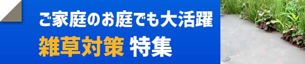 雑草対策に 除草剤と防草シートでひとまとめ