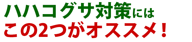 ハハコグサ 雑草 除草 防除