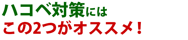 雑草 ハコベ 雑草 除草 防除