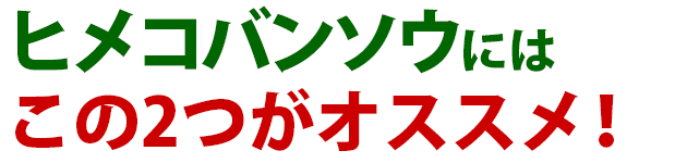 雑草 ヒメコバンソウ 雑草 除草 防除