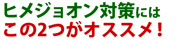 ヒメジョオン 雑草 除草 防除