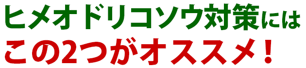 ヒメオドリコソウ 雑草 除草 防除