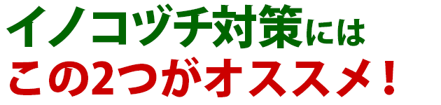 雑草 イノコヅチ 猪子槌 雑草 除草 防除