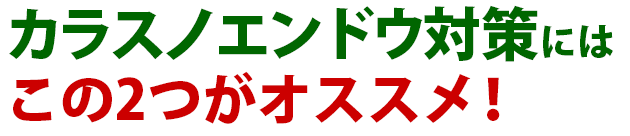 雑草 カラスノエンドウの駆除方法 おすすめ除草剤