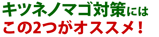 キツネノマゴ 雑草 除草 防除