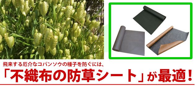 雑草 コバンソウ 防草シート エコナル ザバーン