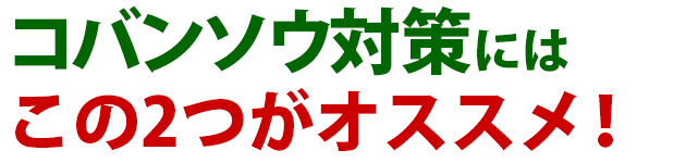 雑草 コバンソウ 雑草 除草 防除