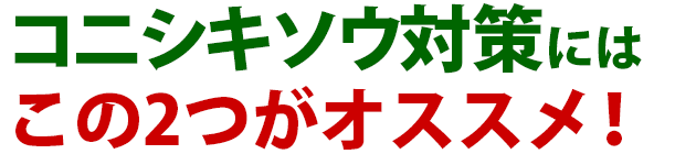 雑草 コニシキソウの駆除方法 おすすめ除草剤