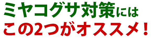 雑草 ミヤコグサ 雑草 除草 防除