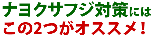 雑草 ナヨクサフジ 雑草 除草 防除