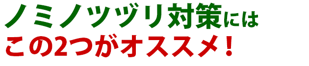 雑草 ノミノツヅリ 雑草 除草 防除