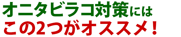 雑草 オニタビラコ 雑草 除草 防除