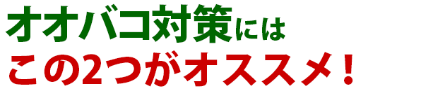 オオバコ 雑草 除草 防除