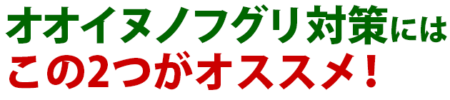 雑草 オオイヌノフグリ 雑草 除草 防除