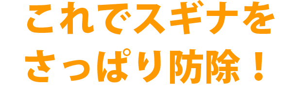 スギナをさっぱり防除