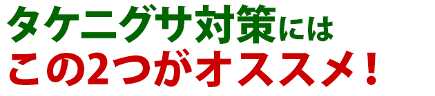 雑草 タケニグサ 雑草 除草 防除