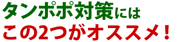 雑草 タンポポ 対策