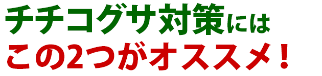 雑草 チチコグサ 雑草 除草 防除