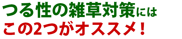 つる性の雑草 雑草 除草 防除