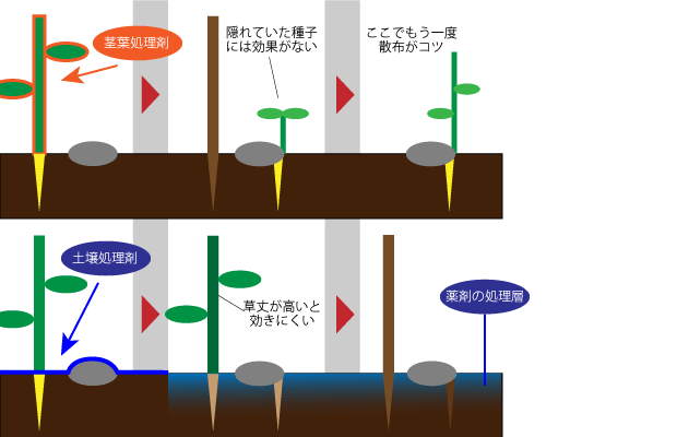 使い分け図