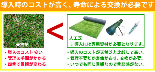 人工芝と天然芝の比較 メリットとデメリット 特徴 費用 施工