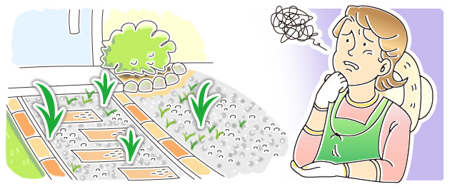 砂利の埋没、雑草