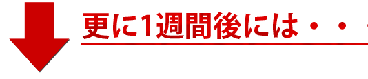 肥料 液体肥料 液肥 ALA-FeSTA アラフェスタ 1週間後